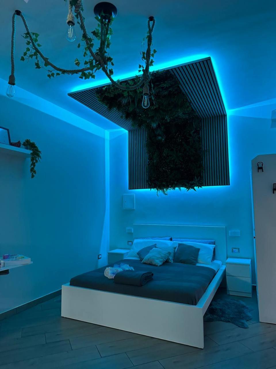 Tropical House Hébergement de vacances *